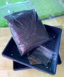 Microgreens Grow Kit